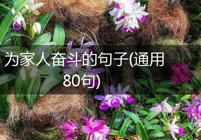 为家人奋斗的句子(通用80句)