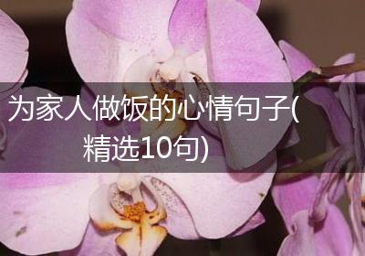 为家人做饭的心情句子(精选10句)
