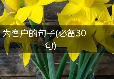 为客户的句子(必备30句)