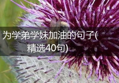 为学弟学妹加油的句子(精选40句)