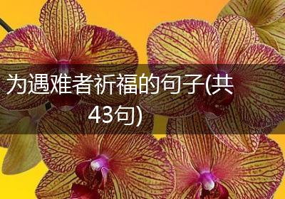 为遇难者祈福的句子(共43句)