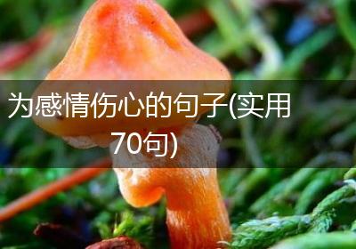 为感情伤心的句子(实用70句)
