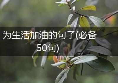 为生活加油的句子(必备50句)
