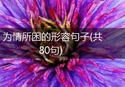 为情所困的形容句子(共80句)