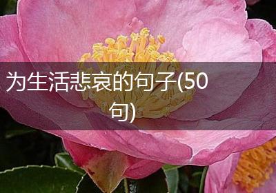 为生活悲哀的句子(50句)