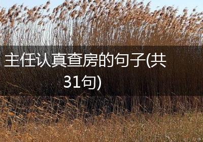 主任认真查房的句子(共31句)
