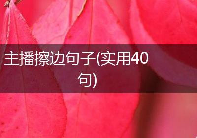 主播擦边句子(实用40句)