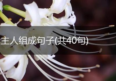 主人组成句子(共40句)