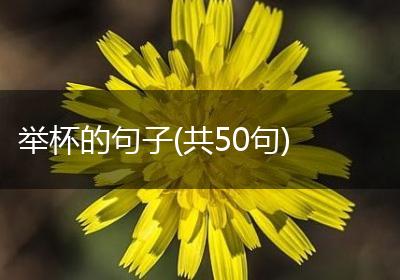 举杯的句子(共50句)