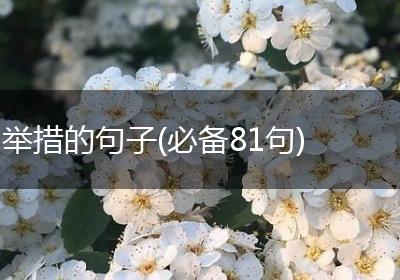 举措的句子(必备81句)