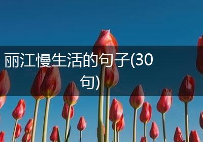 丽江慢生活的句子(30句)