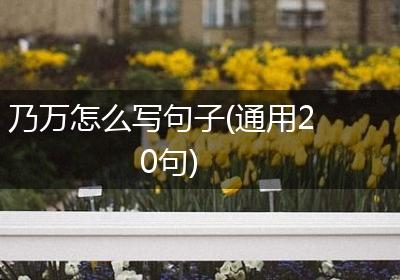 乃万怎么写句子(通用20句)