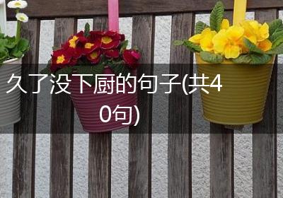 久了没下厨的句子(共40句)