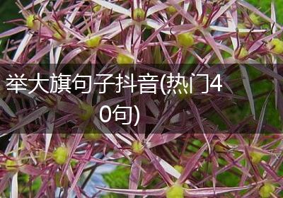 举大旗句子抖音(热门40句)