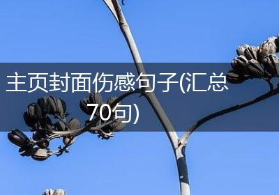 主页封面伤感句子(汇总70句)