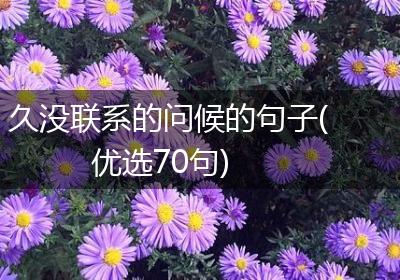 久没联系的问候的句子(优选70句)