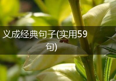 义成经典句子(实用59句)