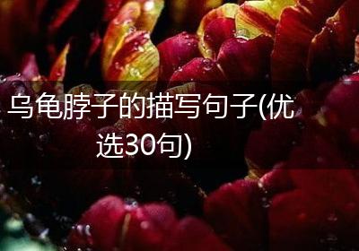 乌龟脖子的描写句子(优选30句)