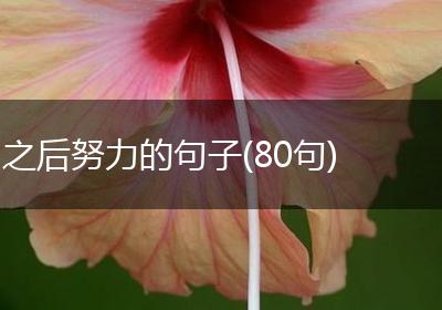之后努力的句子(80句)