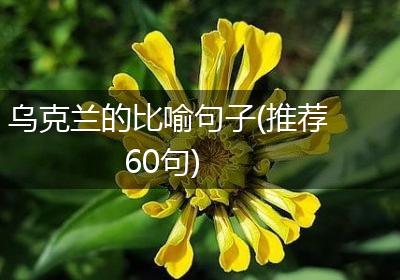 乌克兰的比喻句子(推荐60句)