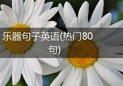 乐器句子英语(热门80句)