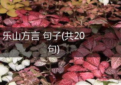 乐山方言 句子(共20句)
