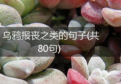乌鸦报丧之类的句子(共80句)