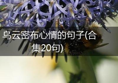 乌云密布心情的句子(合集20句)