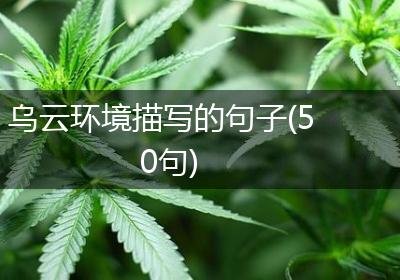 乌云环境描写的句子(50句)