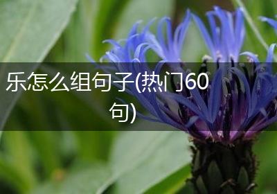乐怎么组句子(热门60句)