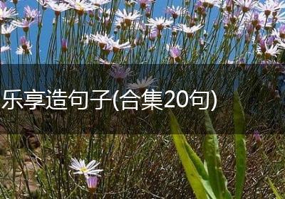 乐享造句子(合集20句)