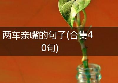 两车亲嘴的句子(合集40句)