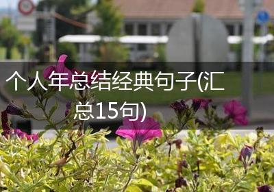 个人年总结经典句子(汇总15句)