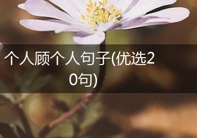 个人顾个人句子(优选20句)