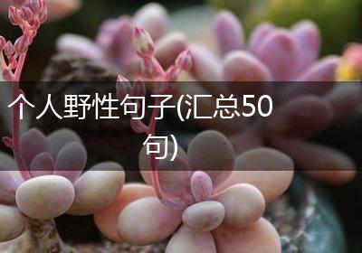 个人野性句子(汇总50句)