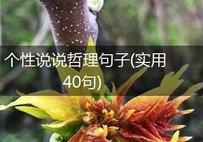 个性说说哲理句子(实用40句)