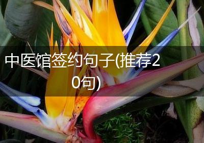 中医馆签约句子(推荐20句)