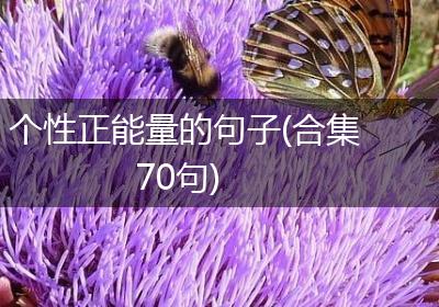 个性正能量的句子(合集70句)