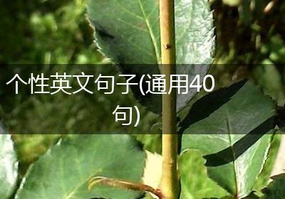 个性英文句子(通用40句)