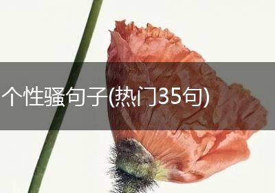 个性骚句子(热门35句)