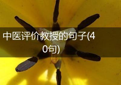 中医评价教授的句子(40句)