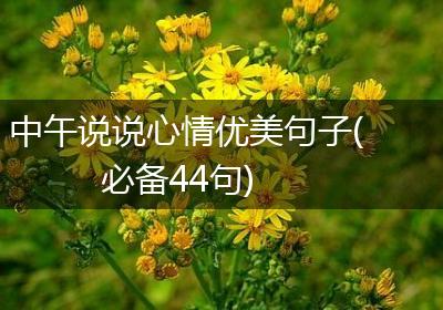 中午说说心情优美句子(必备44句)