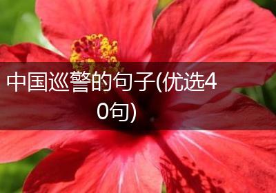 中国巡警的句子(优选40句)