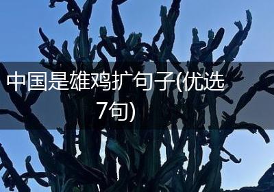 中国是雄鸡扩句子(优选7句)