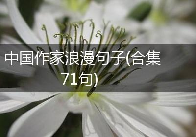 中国作家浪漫句子(合集71句)