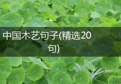 中国木艺句子(精选20句)