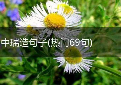 中瑞造句子(热门69句)
