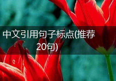 中文引用句子标点(推荐20句)
