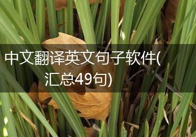 中文翻译英文句子软件(汇总49句)
