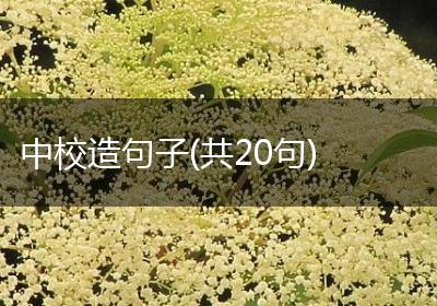 中校造句子(共20句)